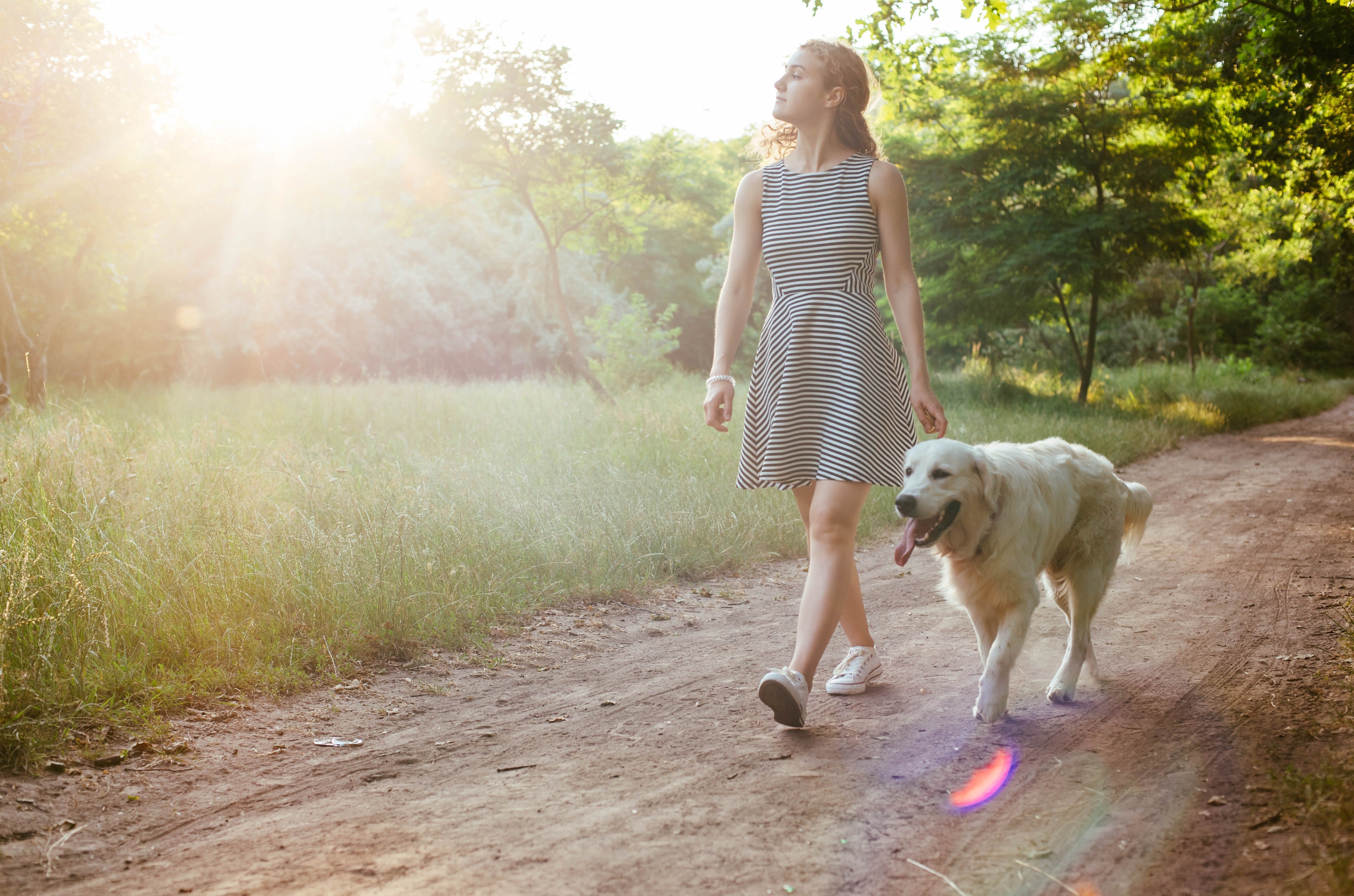 Type 1 Diabetes Symptoms And Signs LloydsPharmacy