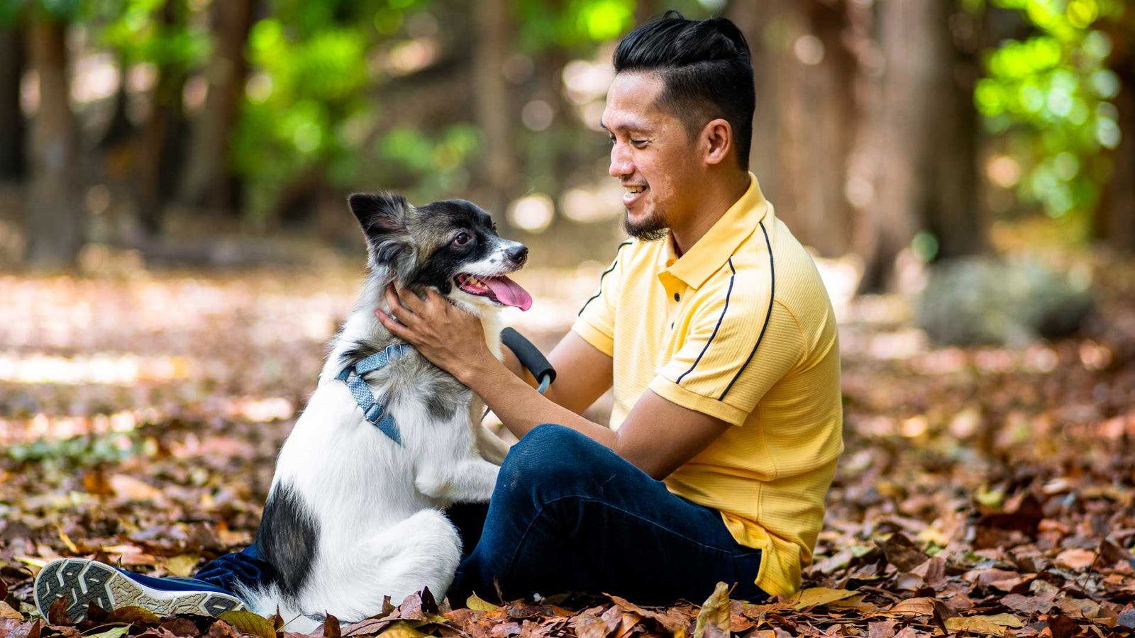 Man stroking dog in park