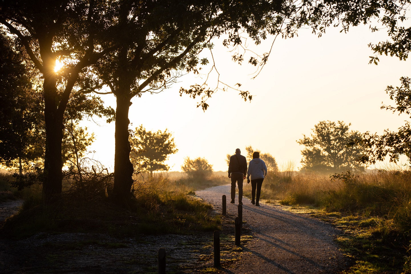 A couple walking in the countryside