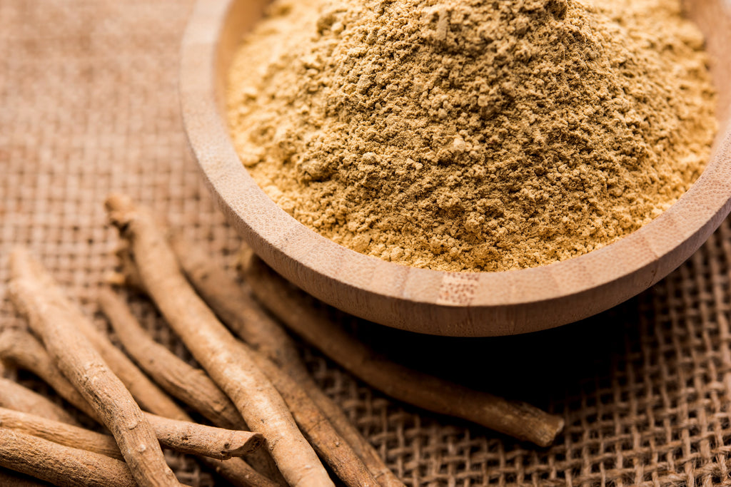 The Health Benefits Of Ashwagandha | LloydsPharmacy The Health Benefits Of Ashwagandha | LloydsPharmacy