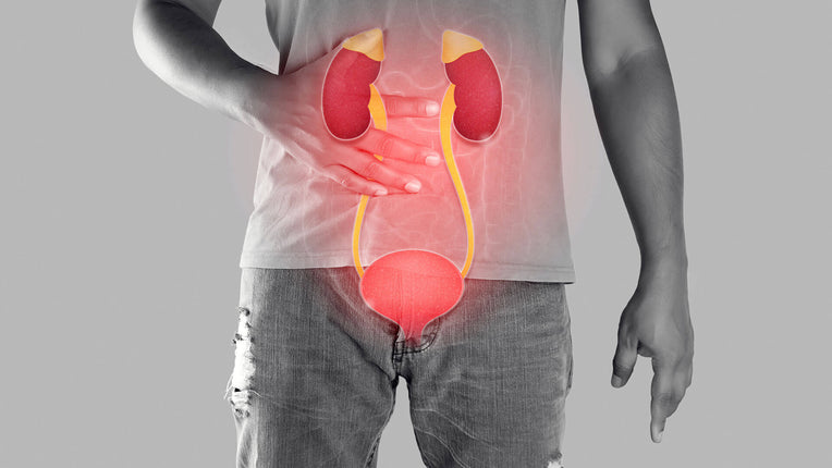Cystitis in men | LloydsPharmacy Cystitis in men | LloydsPharmacy