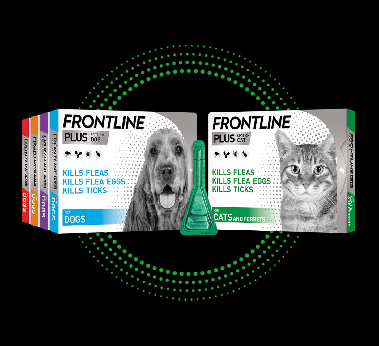 Frontline For Dogs & Cats Flea, Tick Treatment LloydsPharmacy